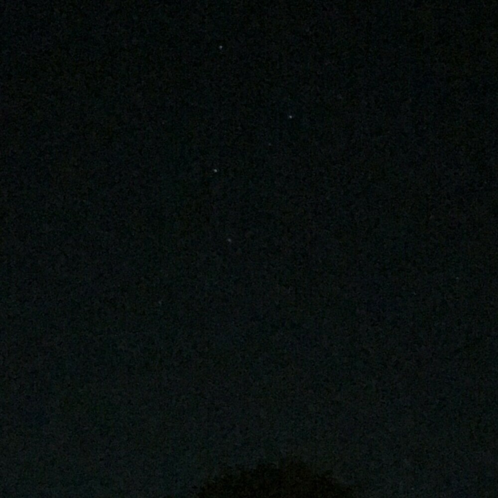 Cassiopeia upside-down in the night sky above a tree.