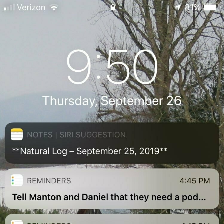 Screenshot of an iPhone lock screen showing a Siri Shortcuts suggestion for the note containing yesterday’s Natural Log post draft.