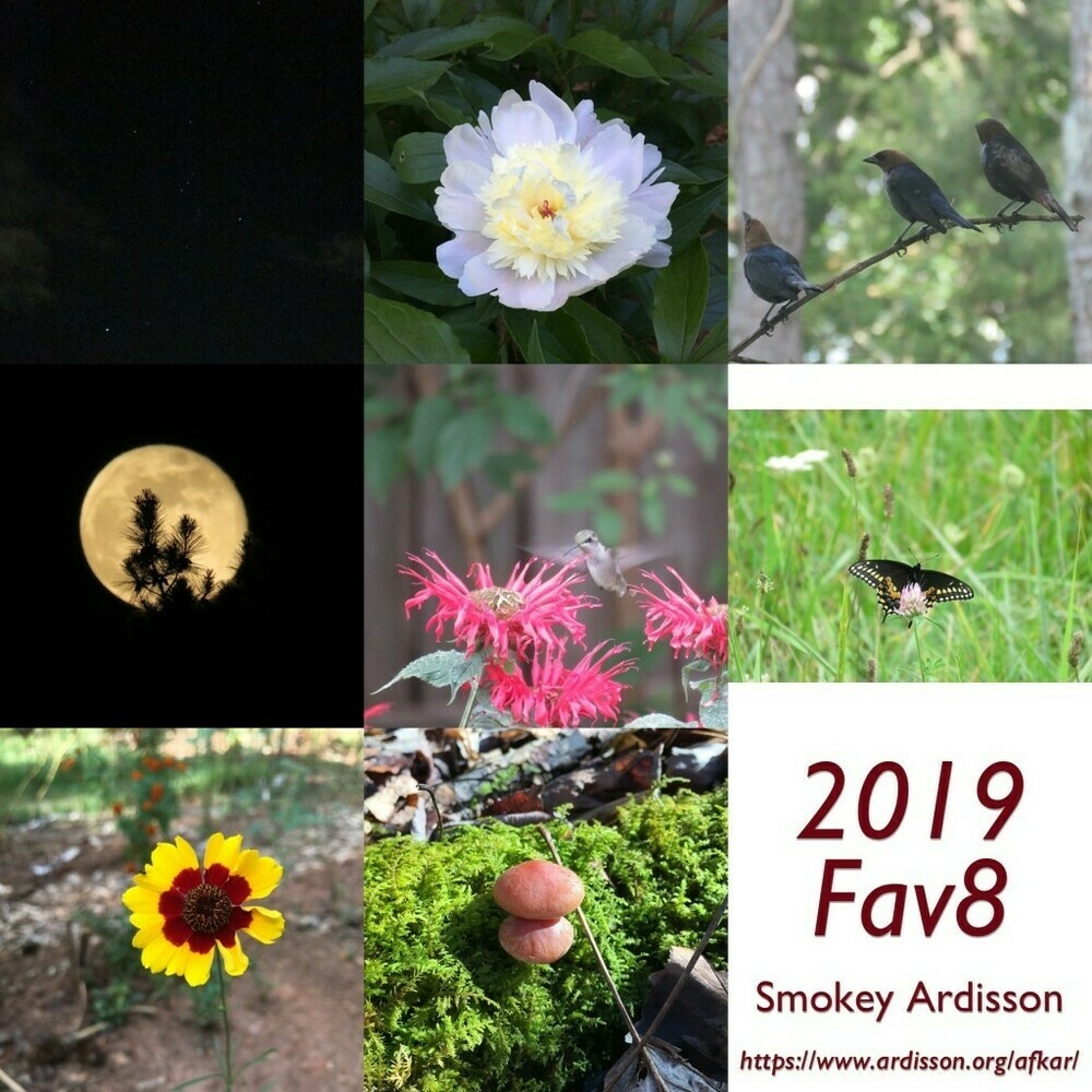 Grid of my favorite 8 photos published in 2019.