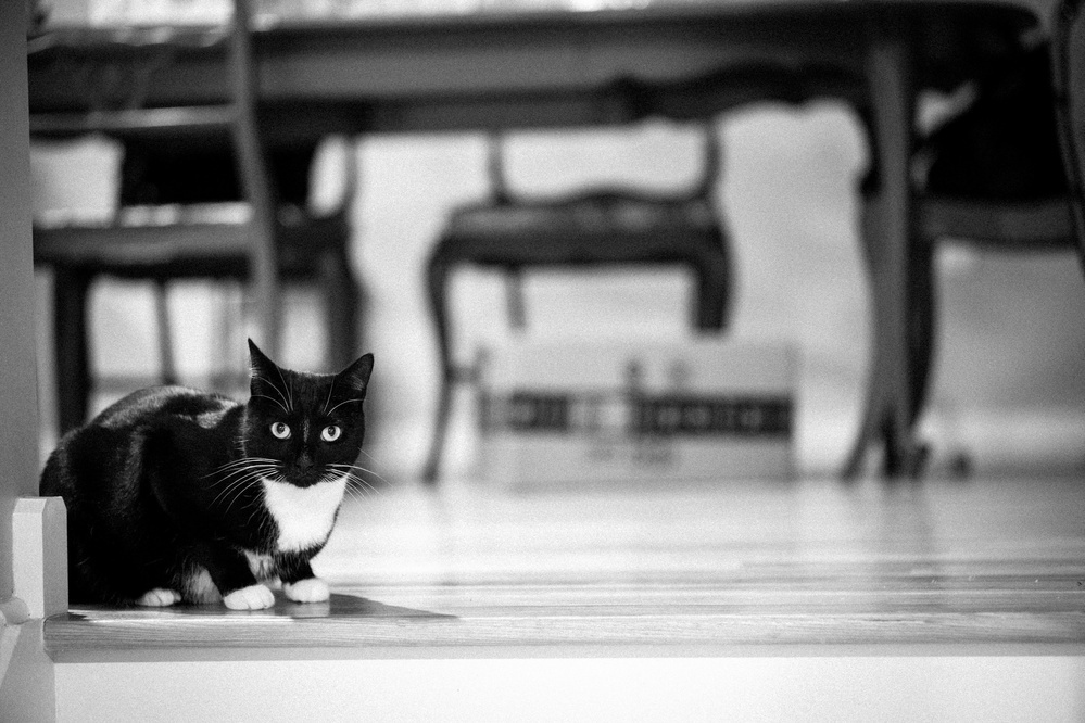 _DSC0061