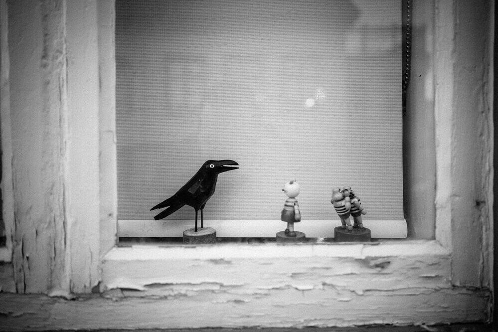bird