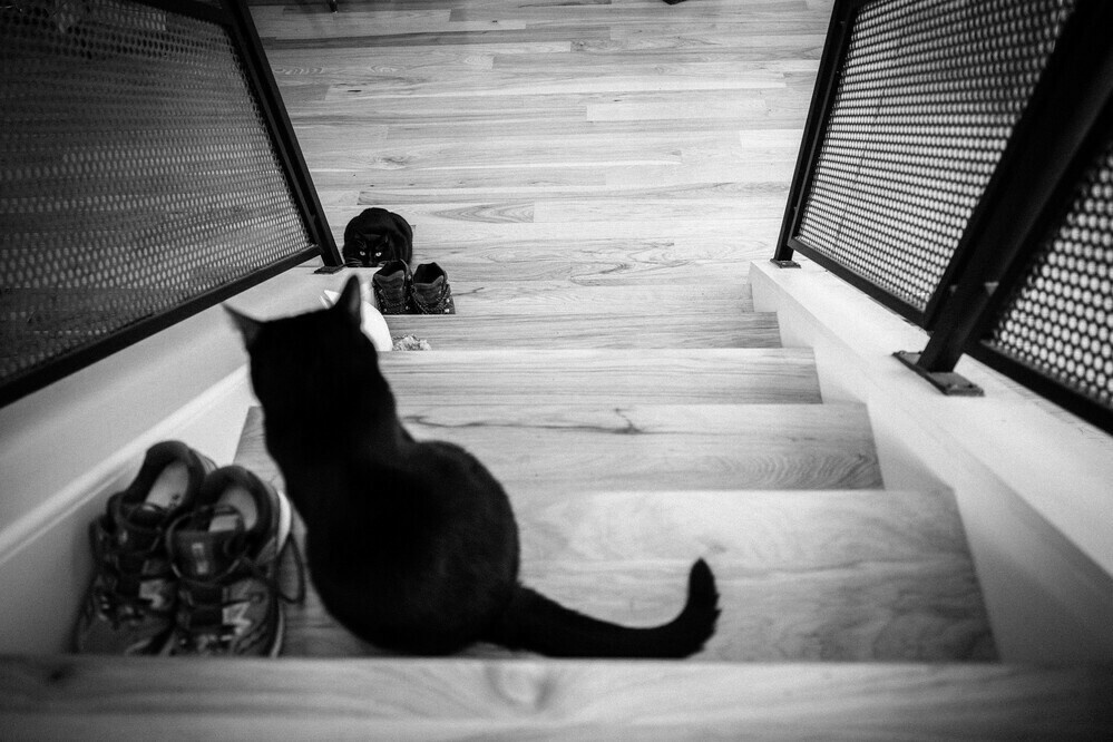 waiting