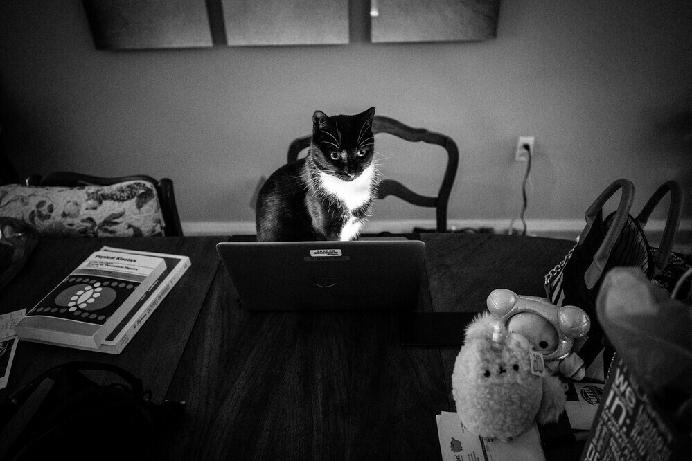 hard at work