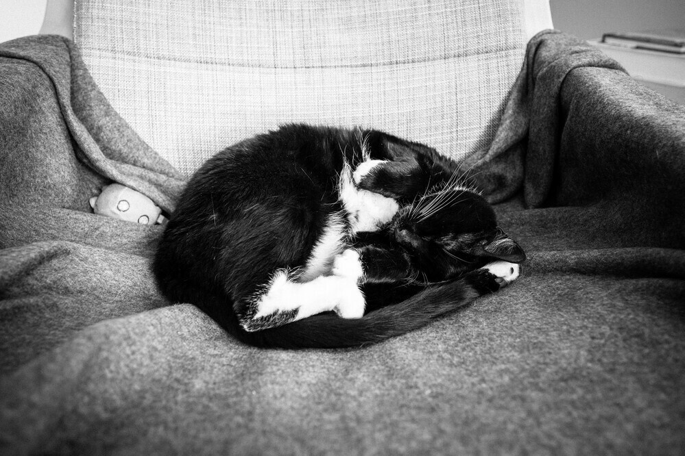sleep
