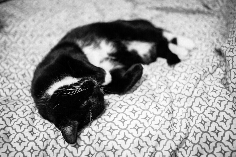 nap time