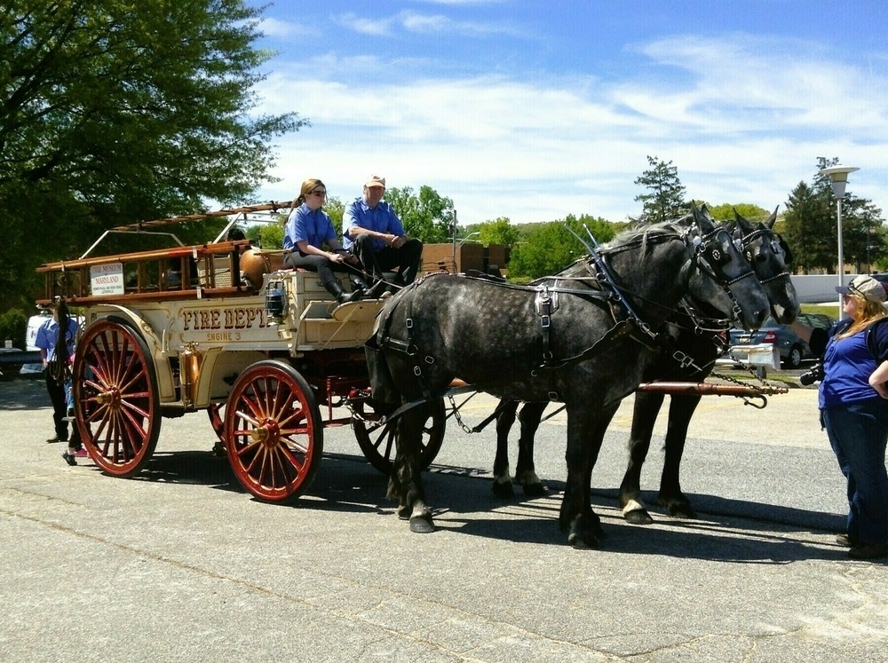 Horse-drawn fire truck.