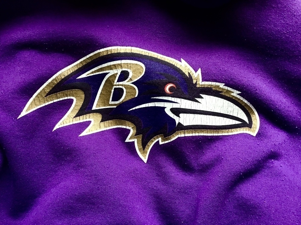 Baltimore Ravens logo on sweatshirt. 