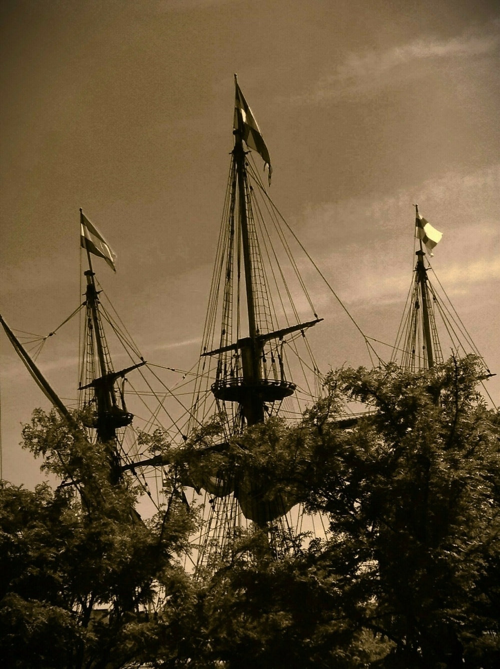 Three ship masts poke over the tops of trees. 