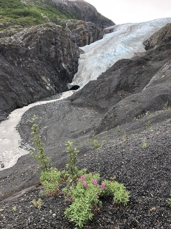 Melt flowing out of the leading edge of a glacier