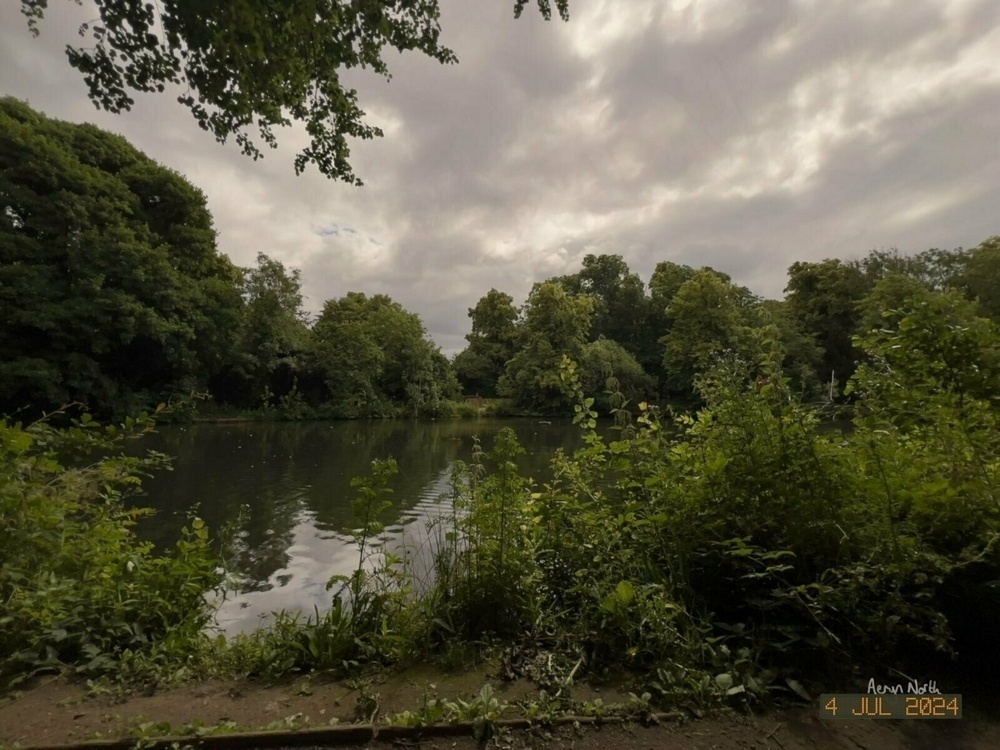 A pond surrounded by lush green foliage and trees. A cloudy sky above. 