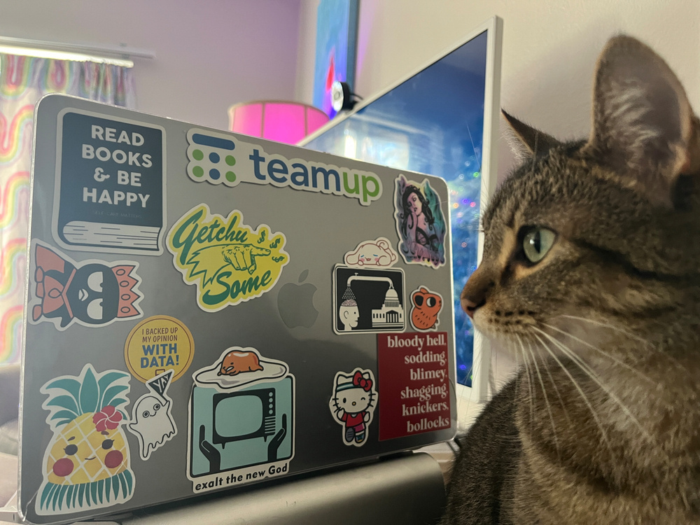 The back of an open laptop with multiple stickers, with the pika and the yay ghost now among them. A small gray tabby cat sits beside the laptop gazing thoughtfully into the middle distance