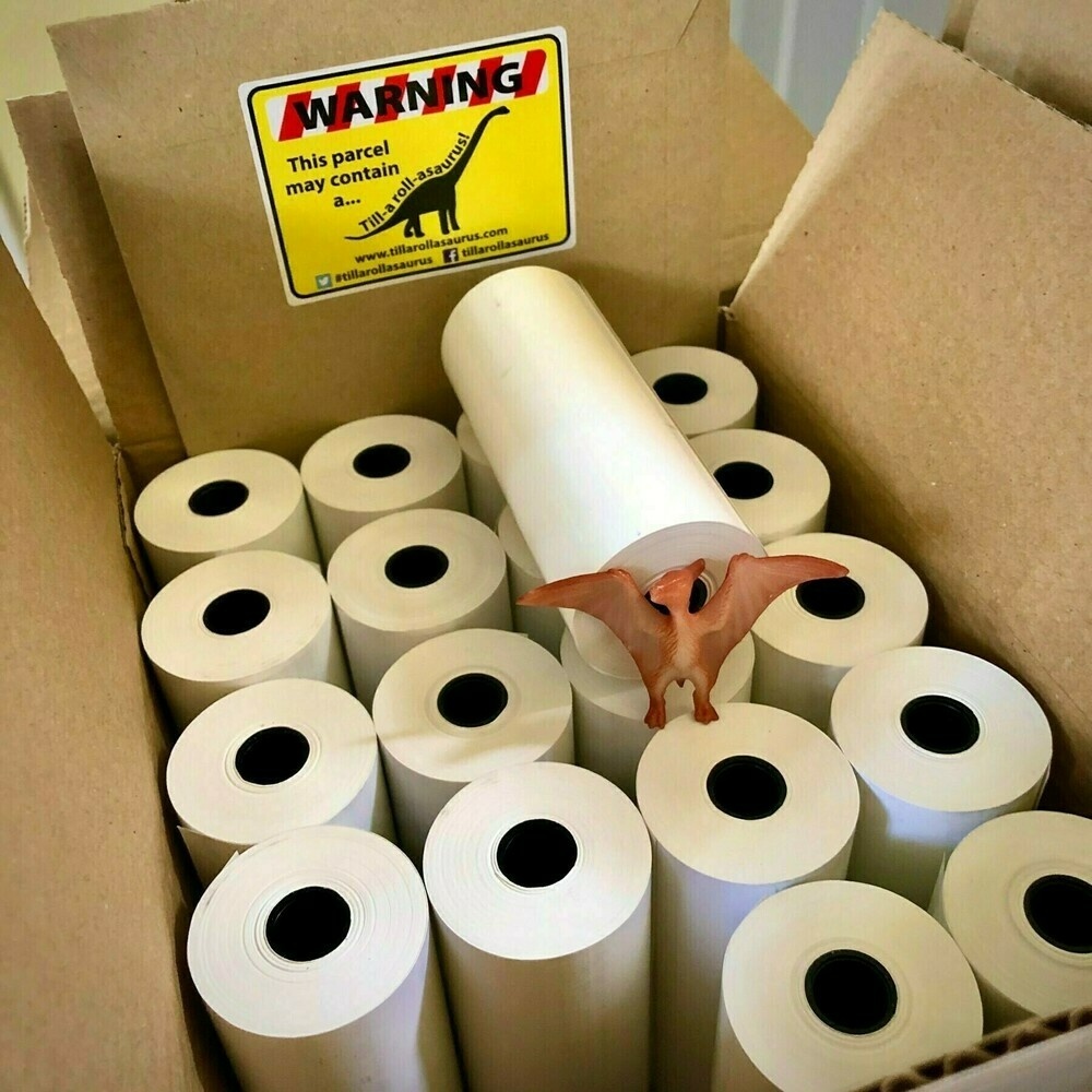 cardboard box full of till rolls and a plastic dinosaur toy