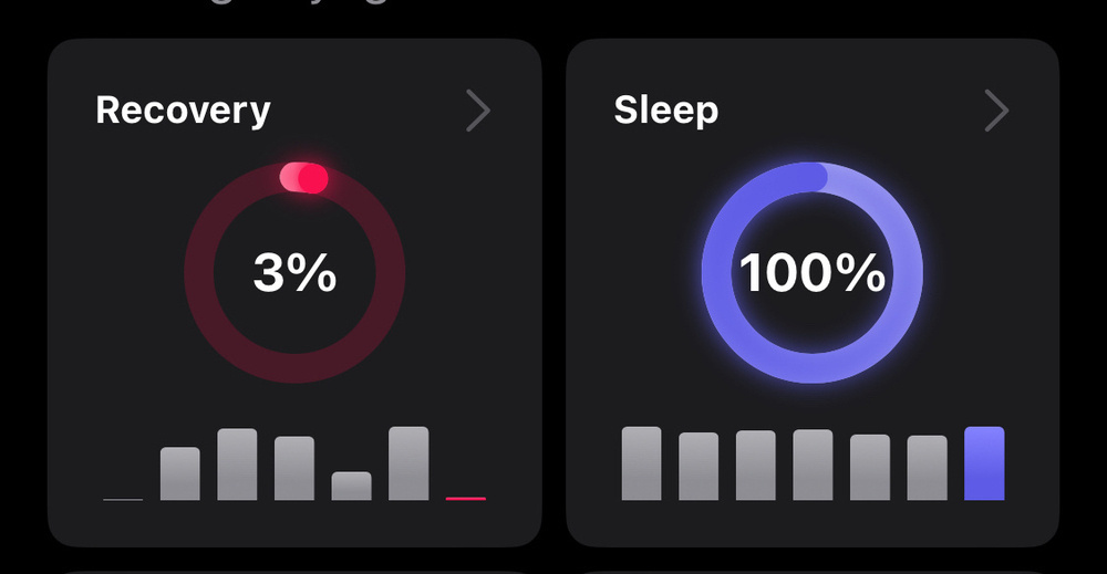 A display shows a recovery status at 3% and sleep status at 100%, each represented by circular progress bars and accompanied by bar graphs.