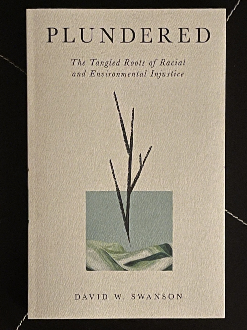 A book titled "Plundered: The Tangled Roots of Racial and Environmental Injustice" by David W. Swanson