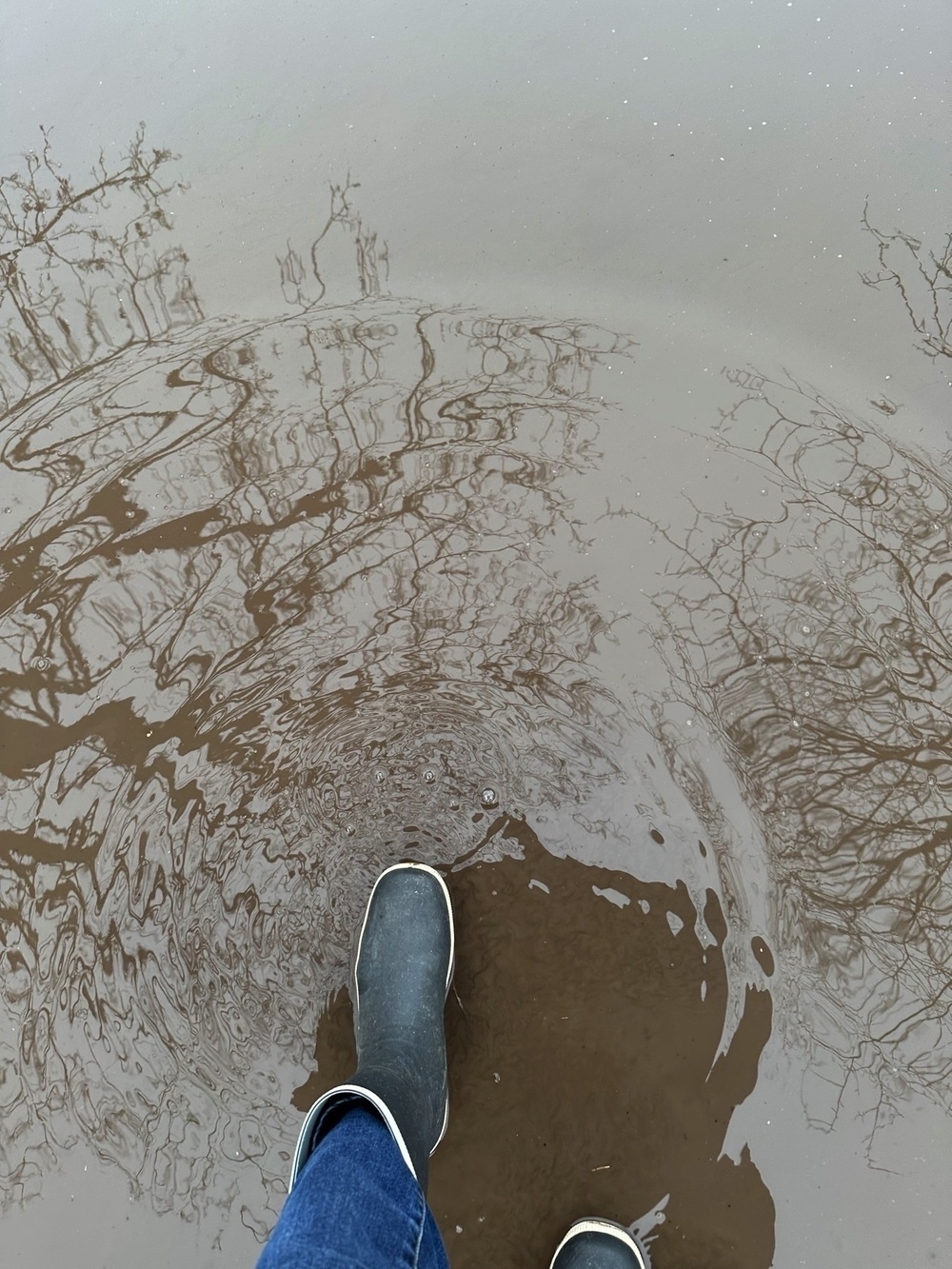 rubber boots, muddy puddle reflecting an umbrella and a tree