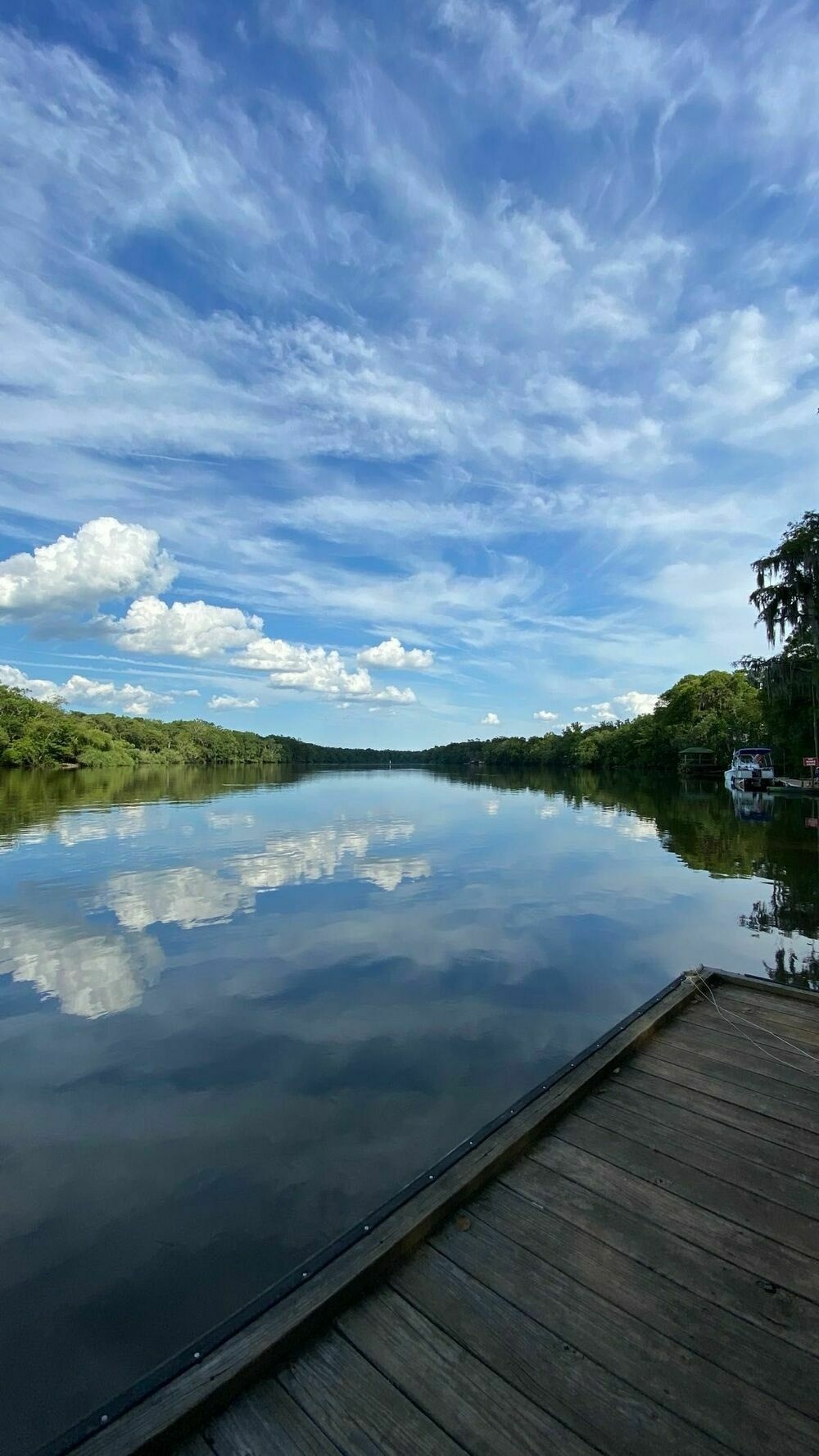 View from this early evening’s meditation on the Altamaha river in Georgia