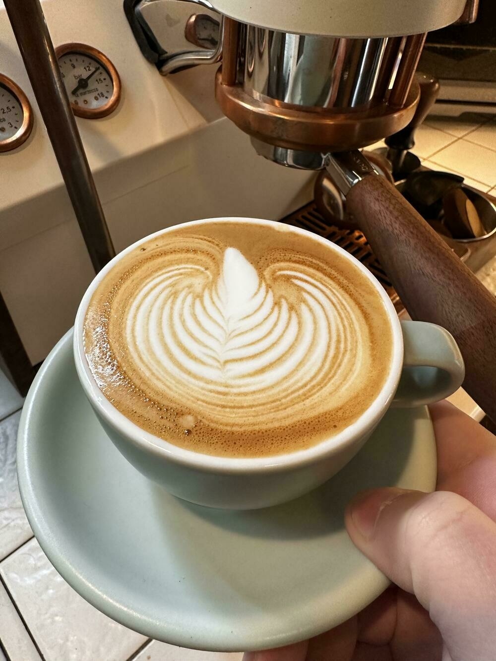 A cappuccino with a very nice rosetta for milk art