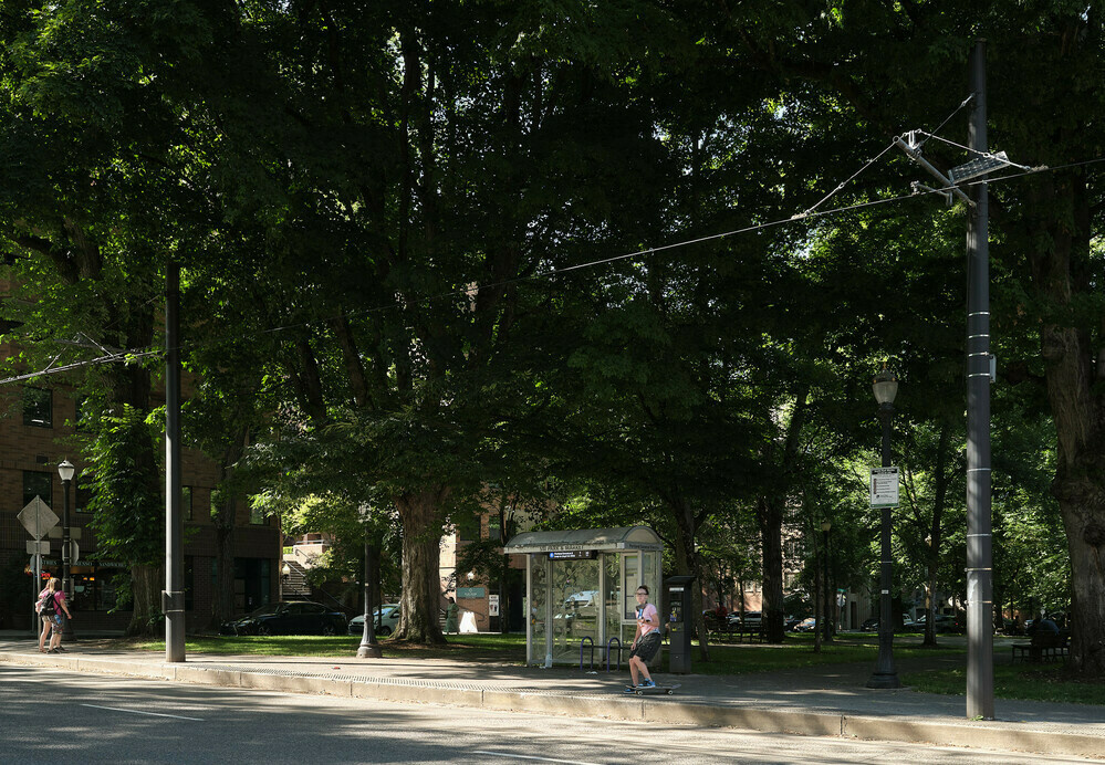 A woman is getting of her skateboard near a streetcar stop. The lush vegetation of city park blocks is in the background.