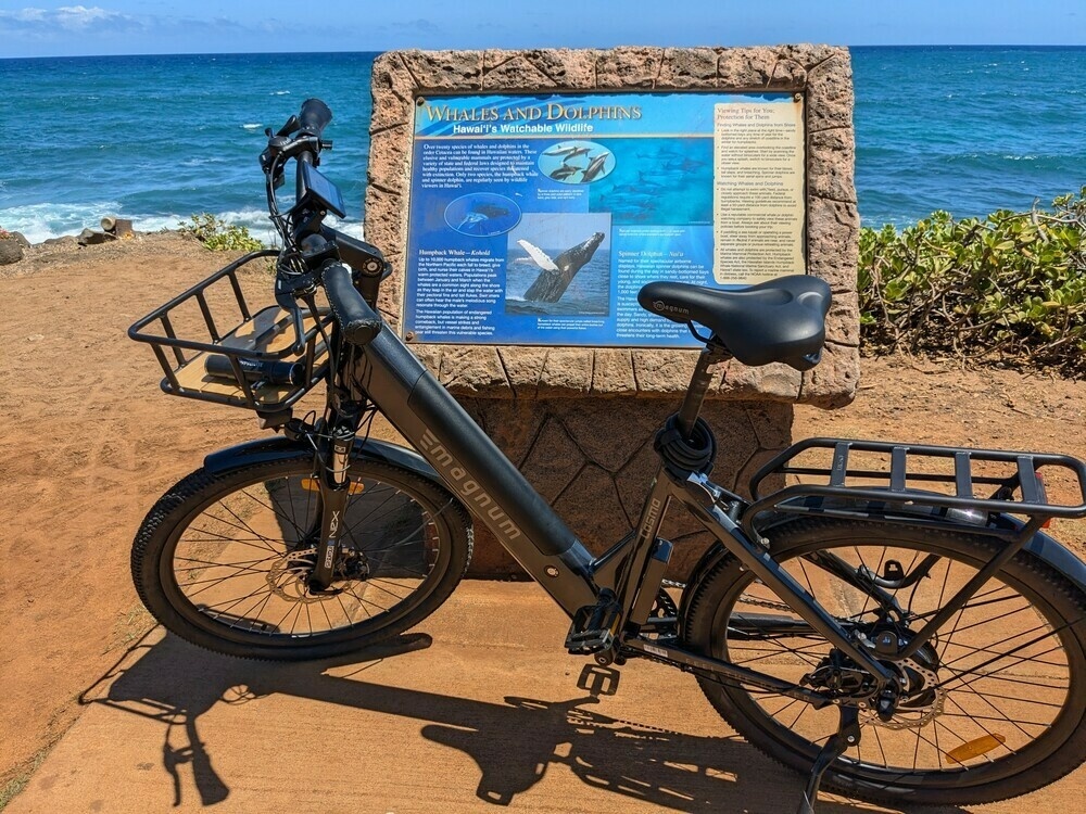 A black Magnum Cosmo ebike in front of an educational sign about whales and dolphins, with the ocean in the background. 