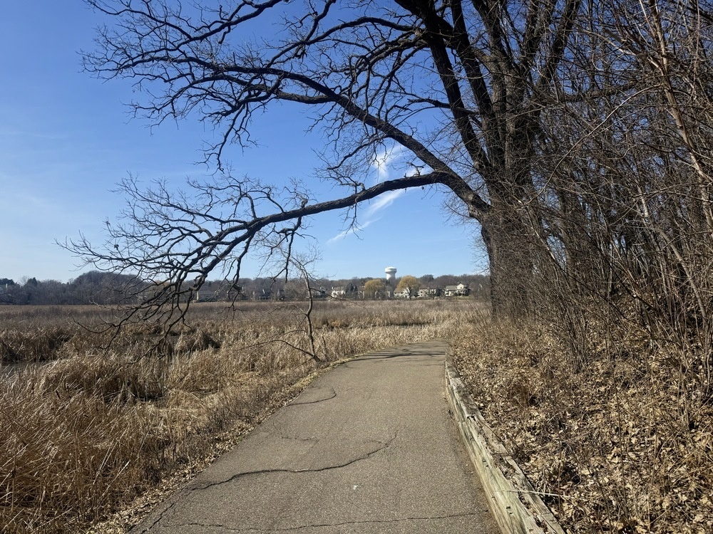 A winding paved path bordered by bare trees and tall grasses, leading towards a distant water tower and houses under a clear blue sky.