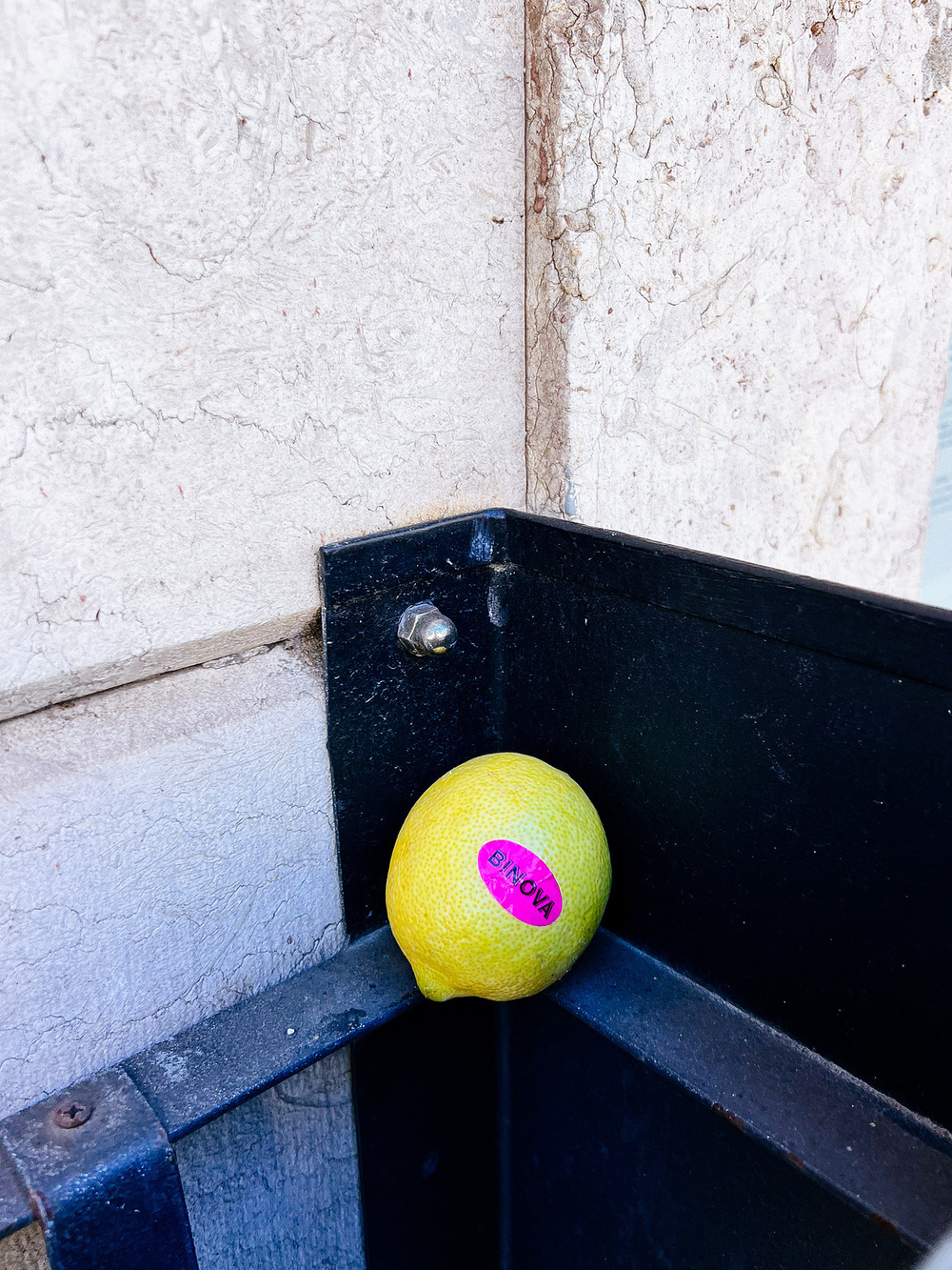 A lemon with a "Binova" sticker. 