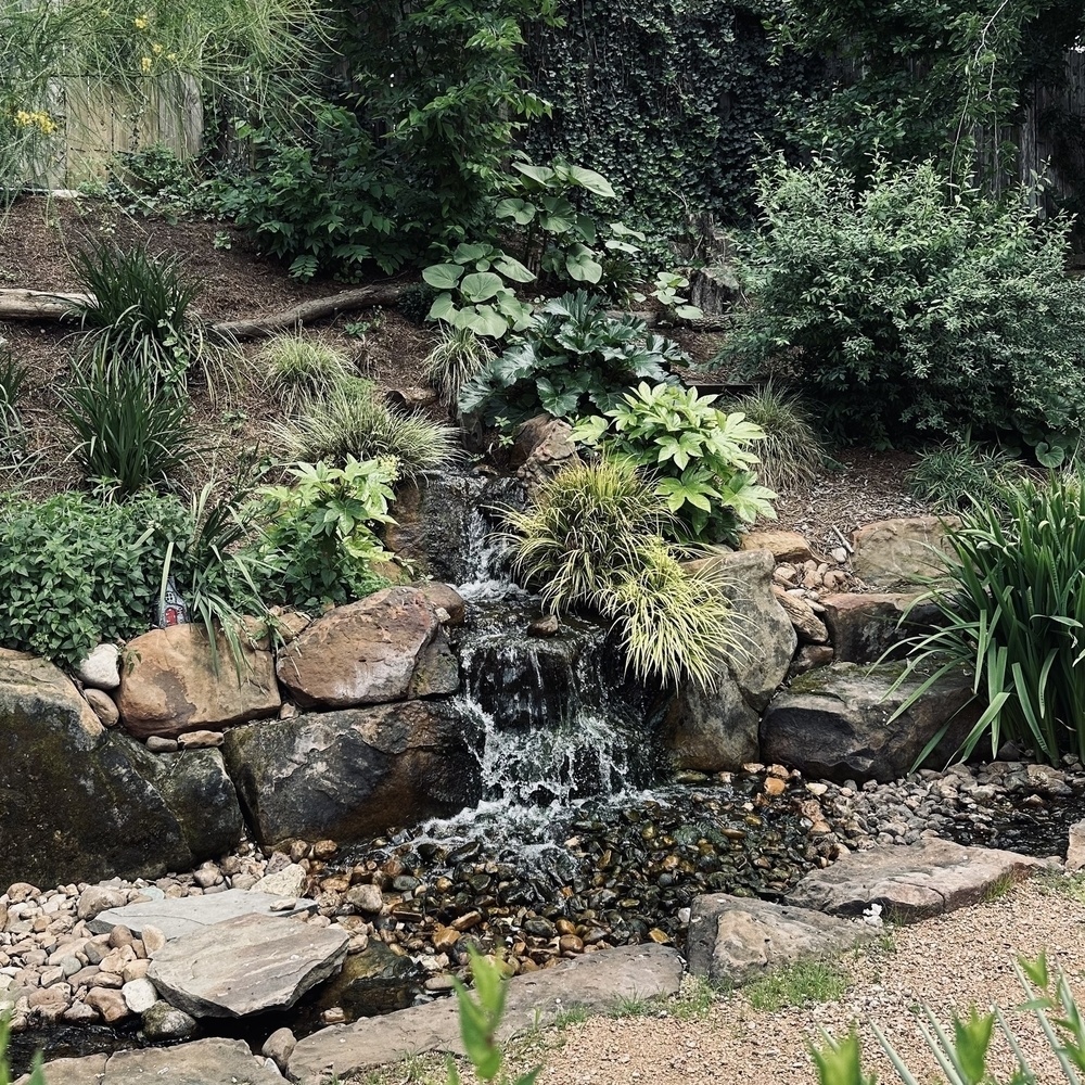 Plants and small waterfall over rocks into garden pool.