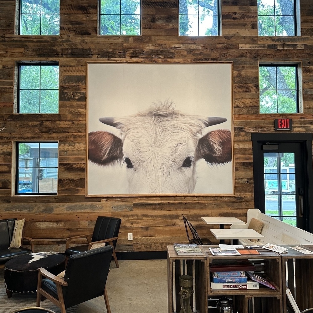 A rustic room features a large framed cow portrait on a wooden wall, with various seating areas and a wooden bookshelf filled with books and magazines.