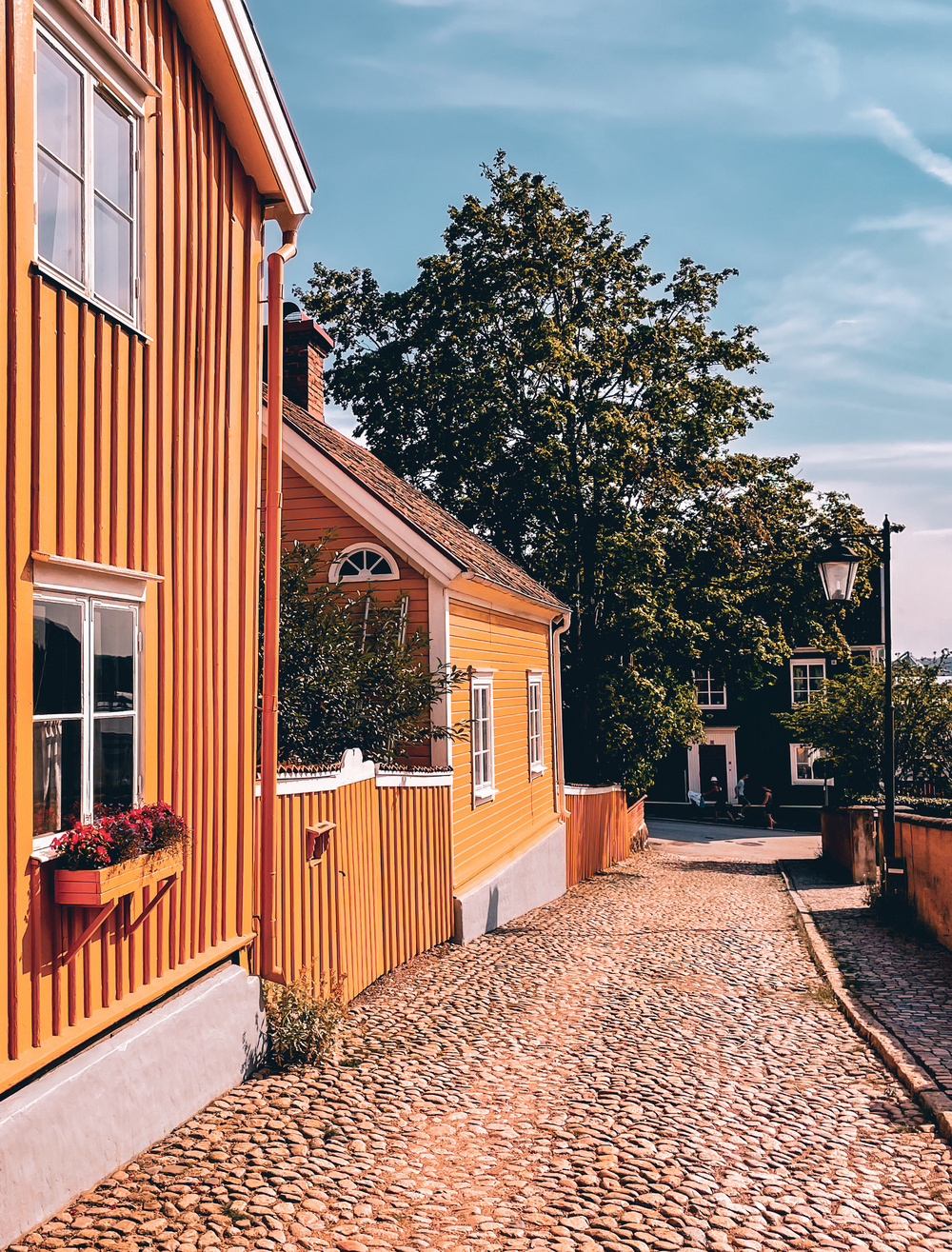 Beautiful yellow house color