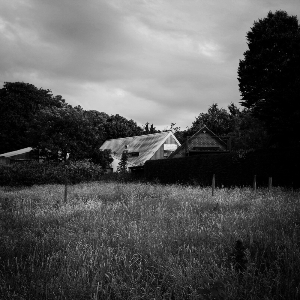 A black and white image looking across a long grass field to building rooves visible amongst trees