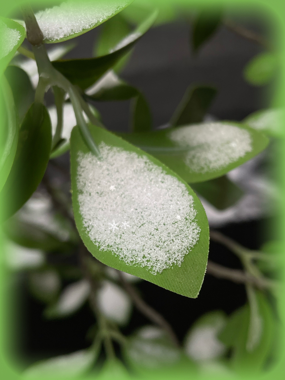 Snow crystals collected on an ornamental leaf