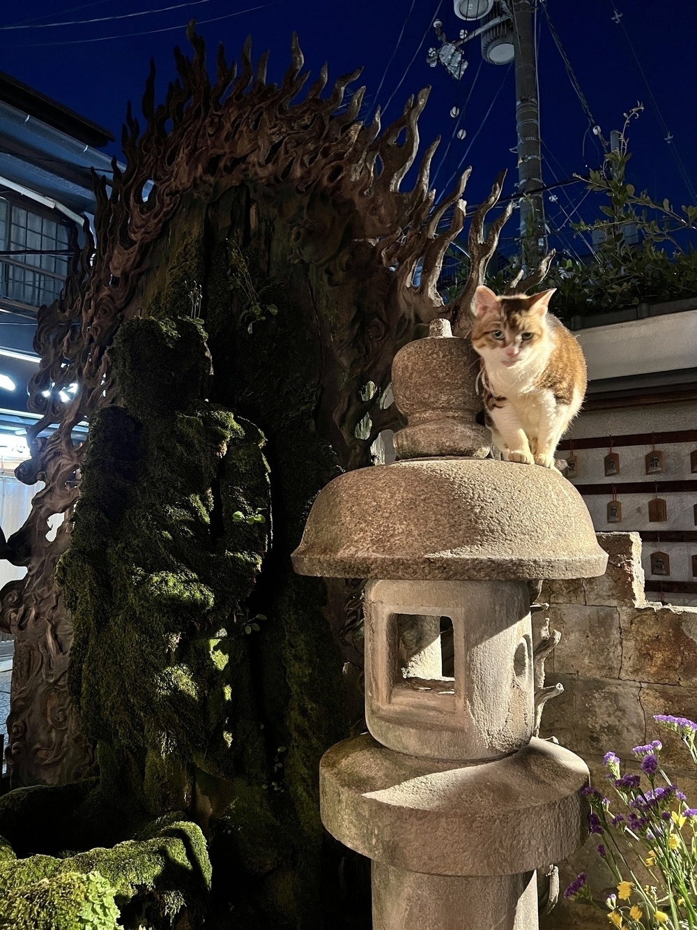 Cat sits on a stone lantern. Behind him is a statue of Fudō Myoō completely covered in moss