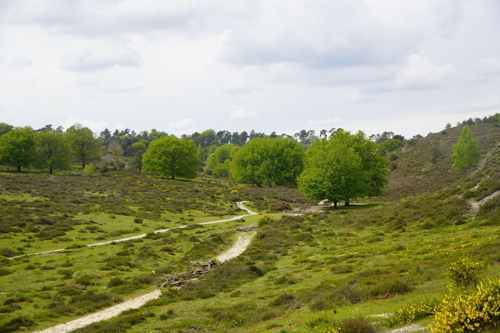 De Posbank, Veluwezoom
