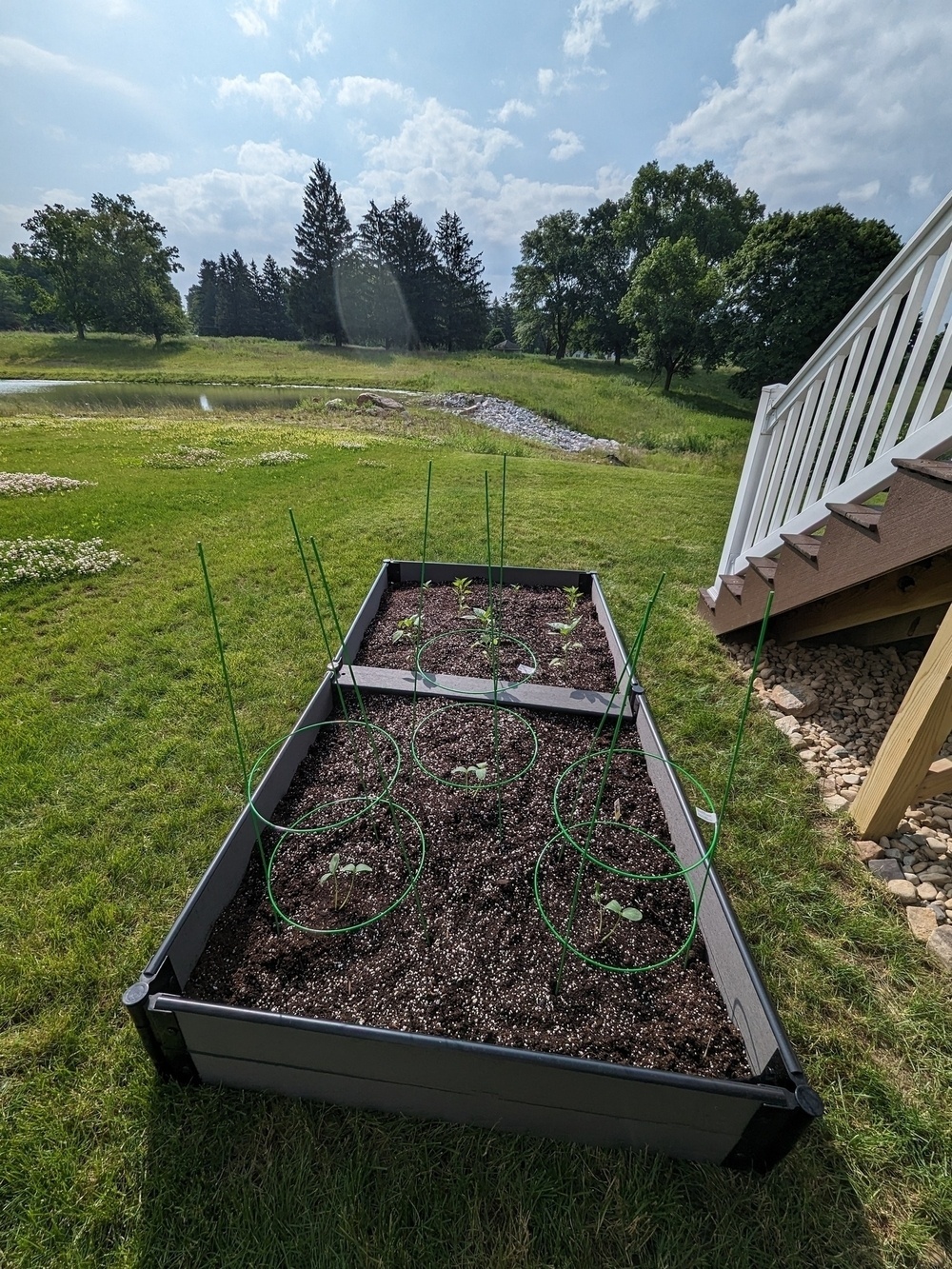 A 4x8 raised bed garden with grass and a pond in the background.