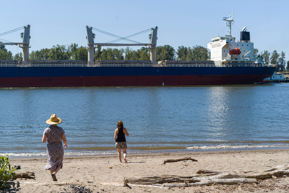 Two people walk on a sandy beach, looking at a large ship passing by on the water. Logs are scattered on the beach.