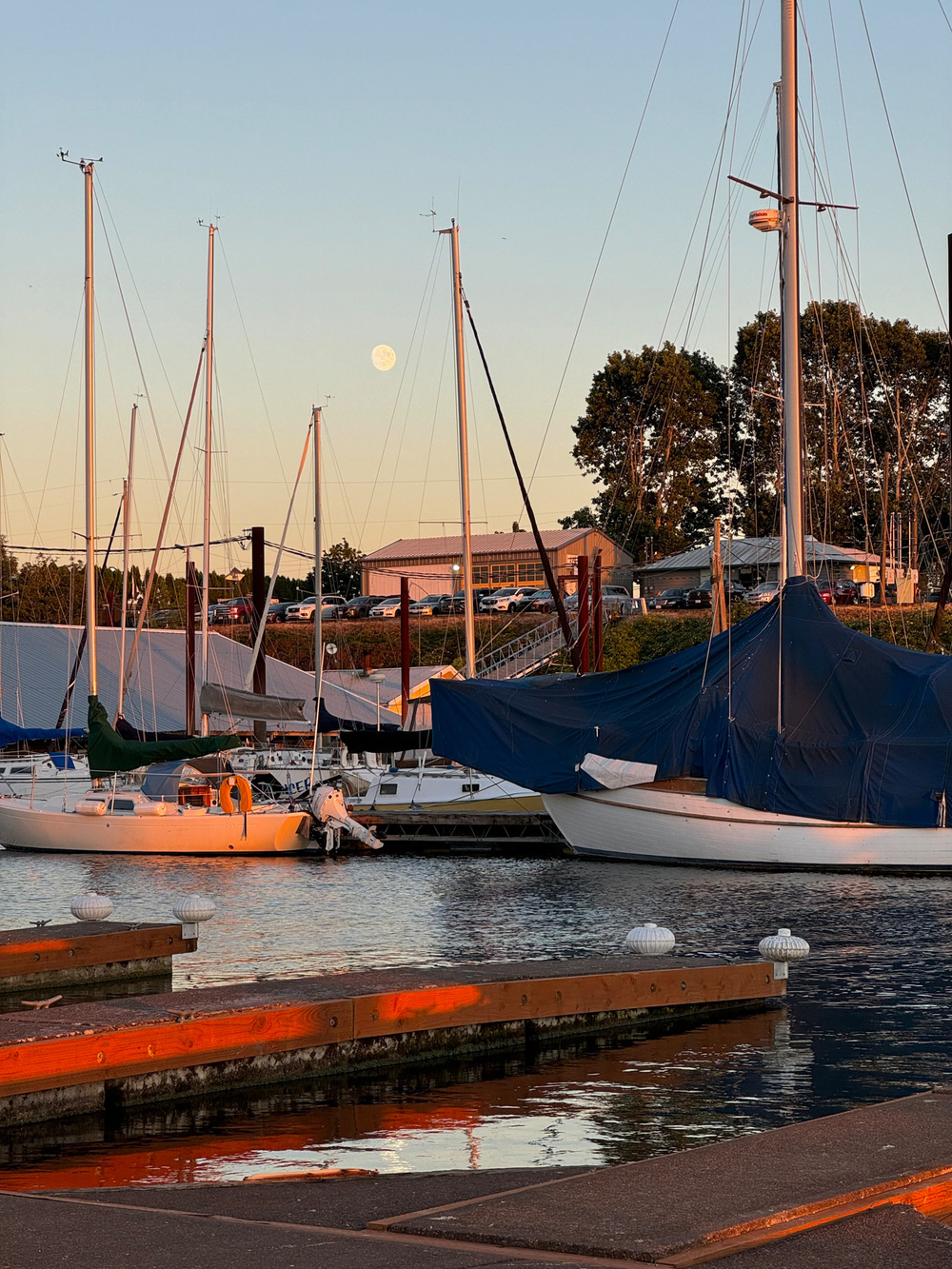 This image shows a serene marina during sunset, with sailboats and their masts prominently featured. The boats are docked, some covered with tarps. A nearly full moon is visible in the sky. Trees and a building in the background complete the picturesque scene.