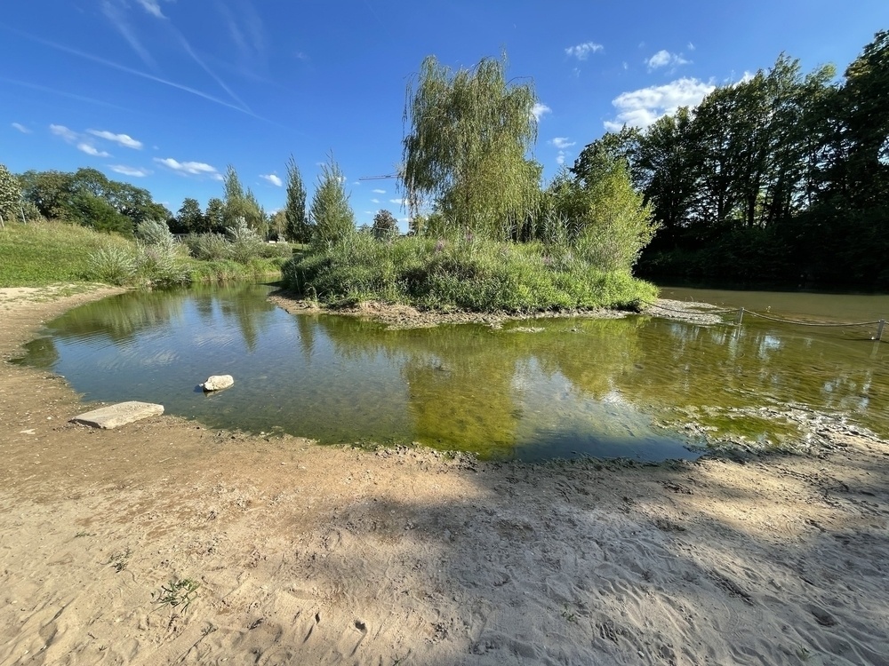 A small pond at a river surrounded by grassy banks and trees under a clear, sunny sky.