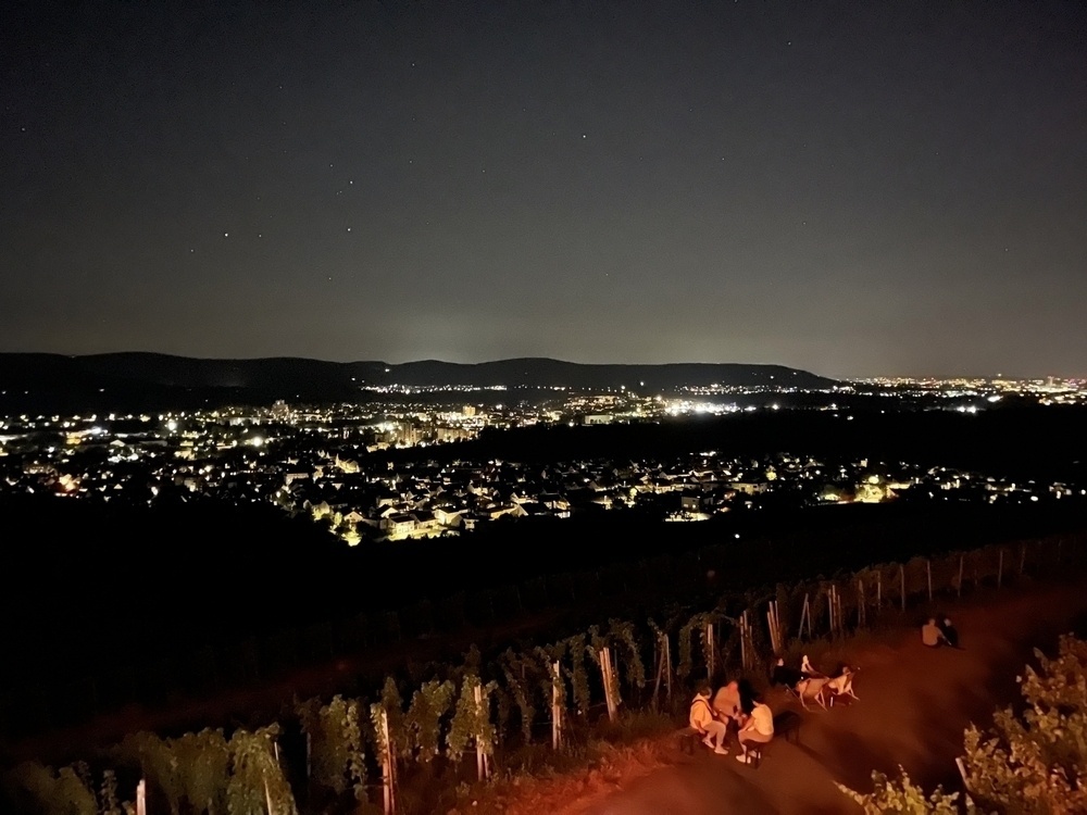 A nighttime cityscape glows in the distance with a vineyard and a few people sitting on chairs in the foreground.