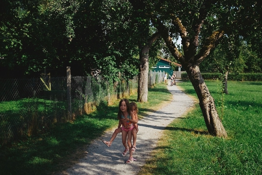 Two children walking on a gravel path sided by fruit trees and a grass meadow. One child is carrying the other on her back and the sun is shining.