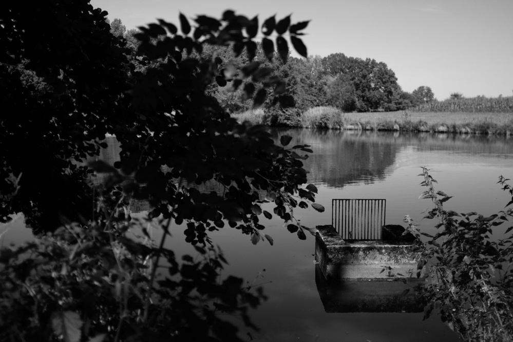 Black-and-white photo of a lake with tree leaves and a spillway in the foreground, and a forest in the background