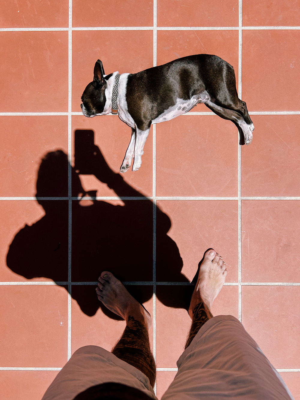 A person with tattoos on their legs is standing barefoot on terracotta-colored tiles, taking a photo. The shadow of the person holding a smartphone is cast on the tiles. A Boston Terrier dog is lying on its side on the tiles, wearing a collar.
