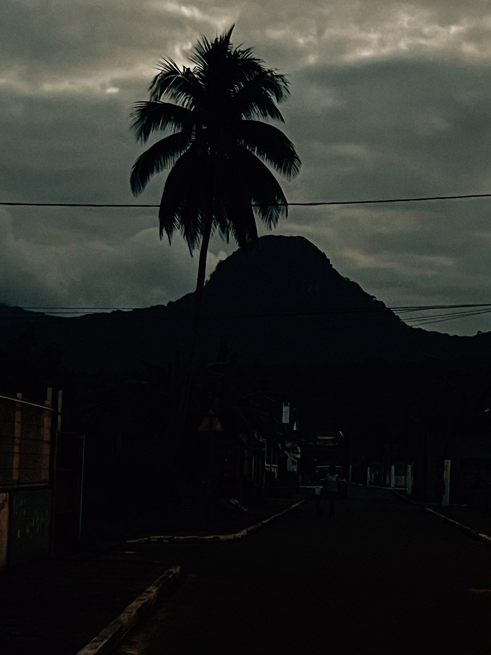 A silhouette of a tall palm tree stands against a cloudy, twilight sky. In the background, a dark mountain peak is visible.