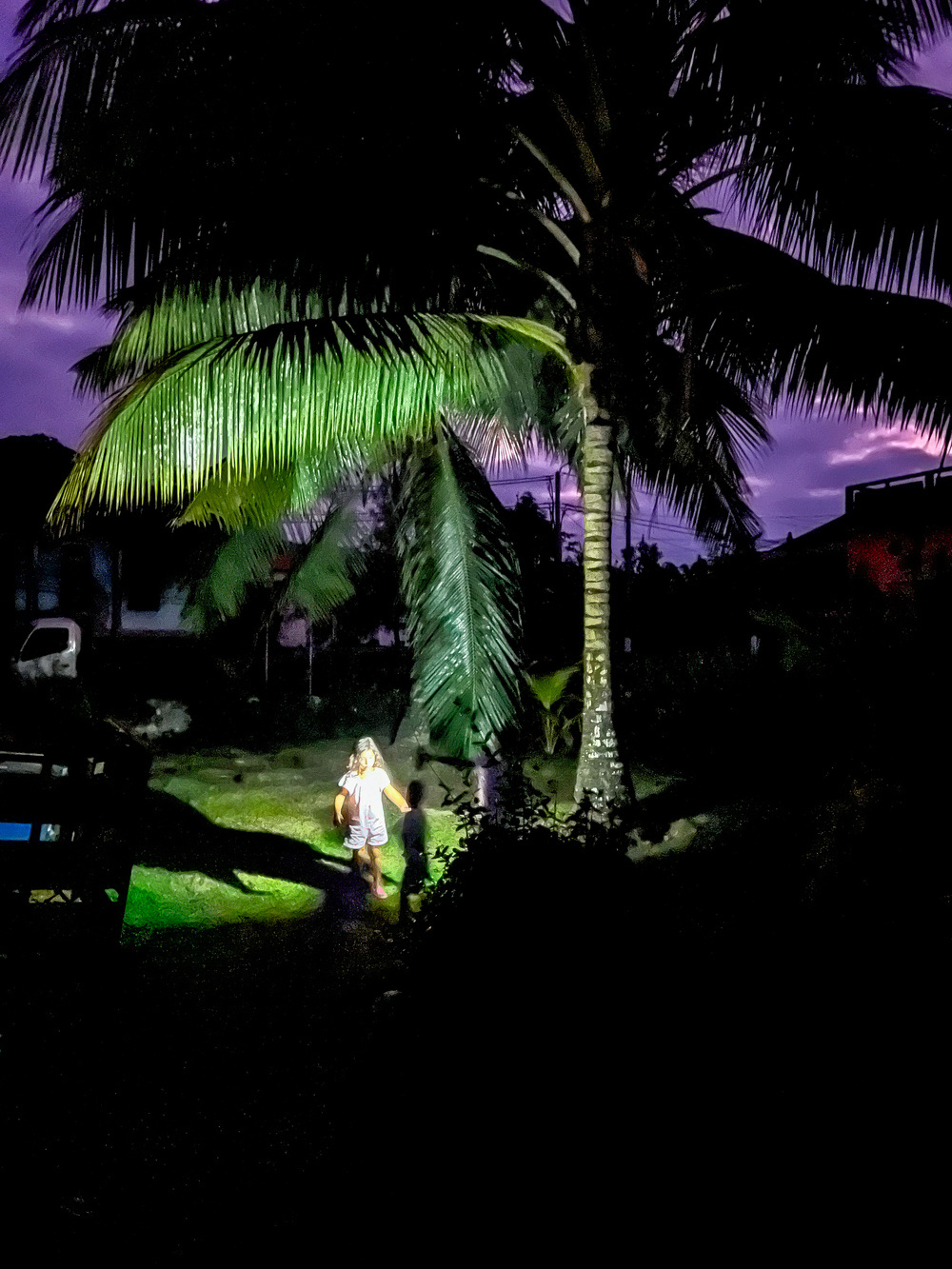 A nighttime scene showing two people standing under tall palm trees, illuminated by a bright light. One person holds a flashlight, casting shadows on the ground and highlighting large palm fronds. The sky is dark with hints of purple, and silhouettes of buildings and