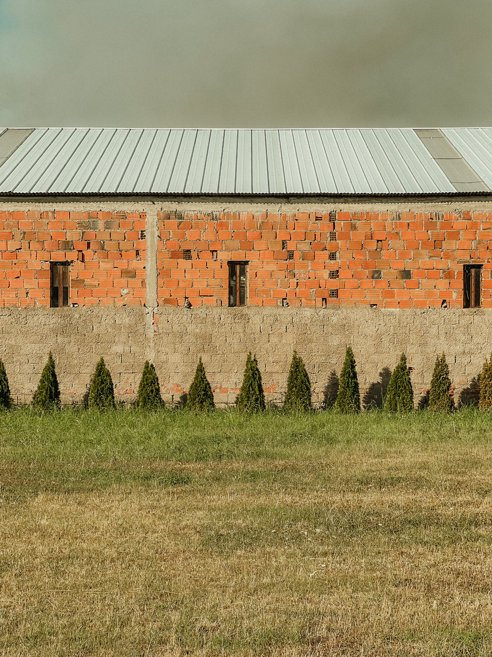 A partially constructed building with a metal roof and brick walls. Small, uniformly spaced coniferous trees are planted in front of the wall, with a grassy field in the foreground under a clear sky.