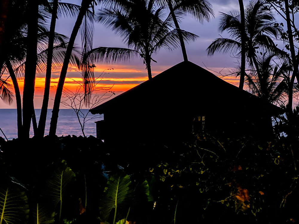 Silhouette of a beach hut surrounded by palm trees with a vibrant sunset in the background. The sky is painted in hues of orange, pink, and purple as the sun sets over the ocean. Large green leaves are visible in the foreground.