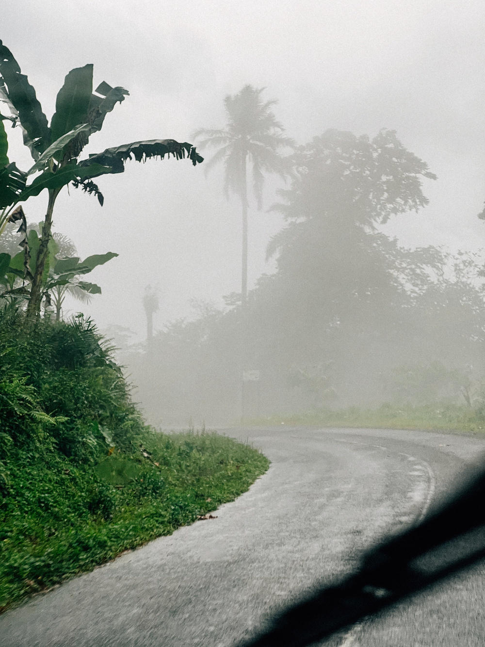 A misty tropical road with lush vegetation and tall palm trees visible through the fog. The view is partially obscured by the silhouette of a car&rsquo;s dashboard in the foreground.