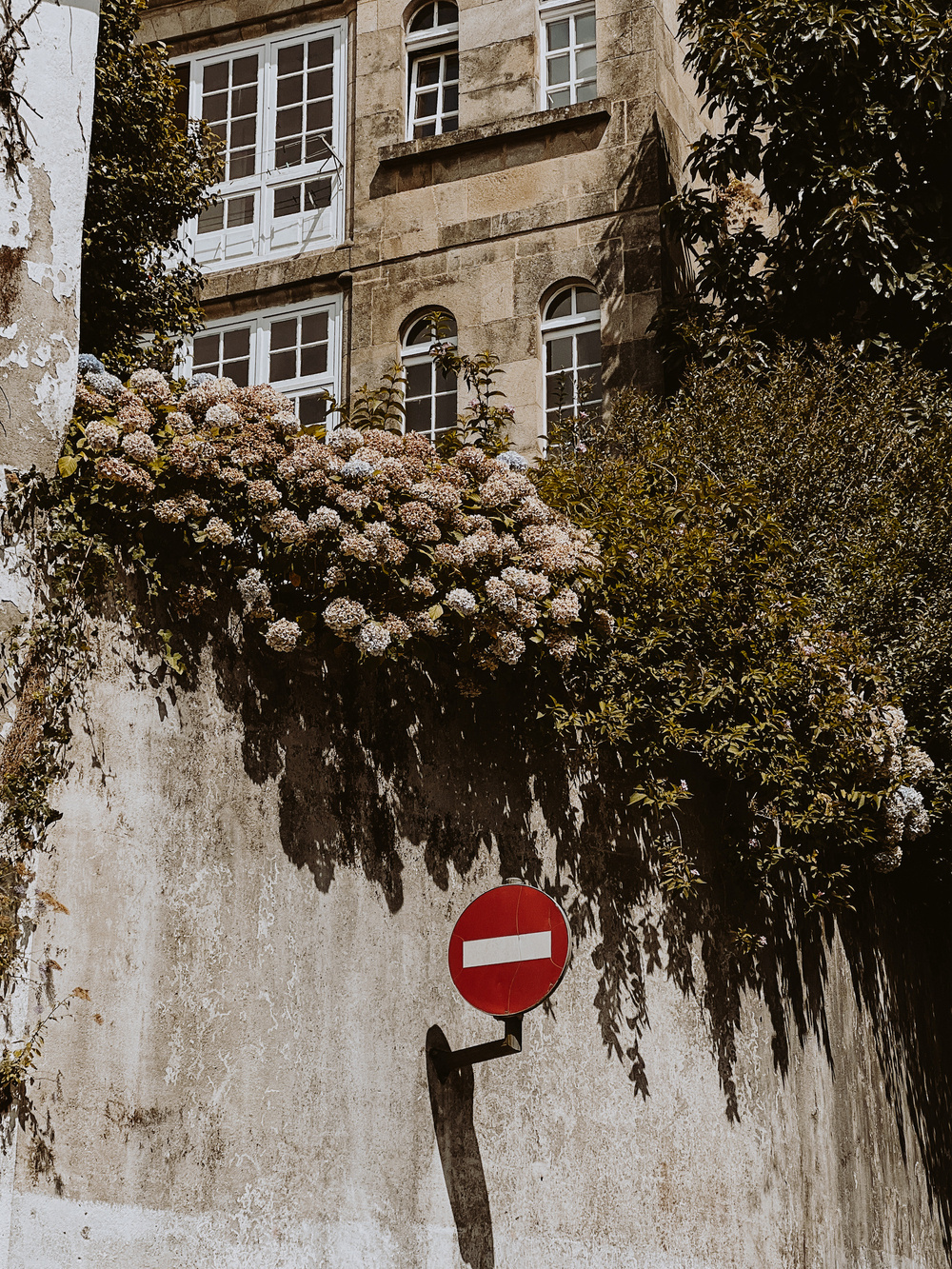 A stone building with multiple white-framed windows stands in the background, partially covered by foliage and blooming flowers. A &ldquo;no entry&rdquo; traffic sign is mounted on a worn concrete wall in the foreground, casting a shadow.