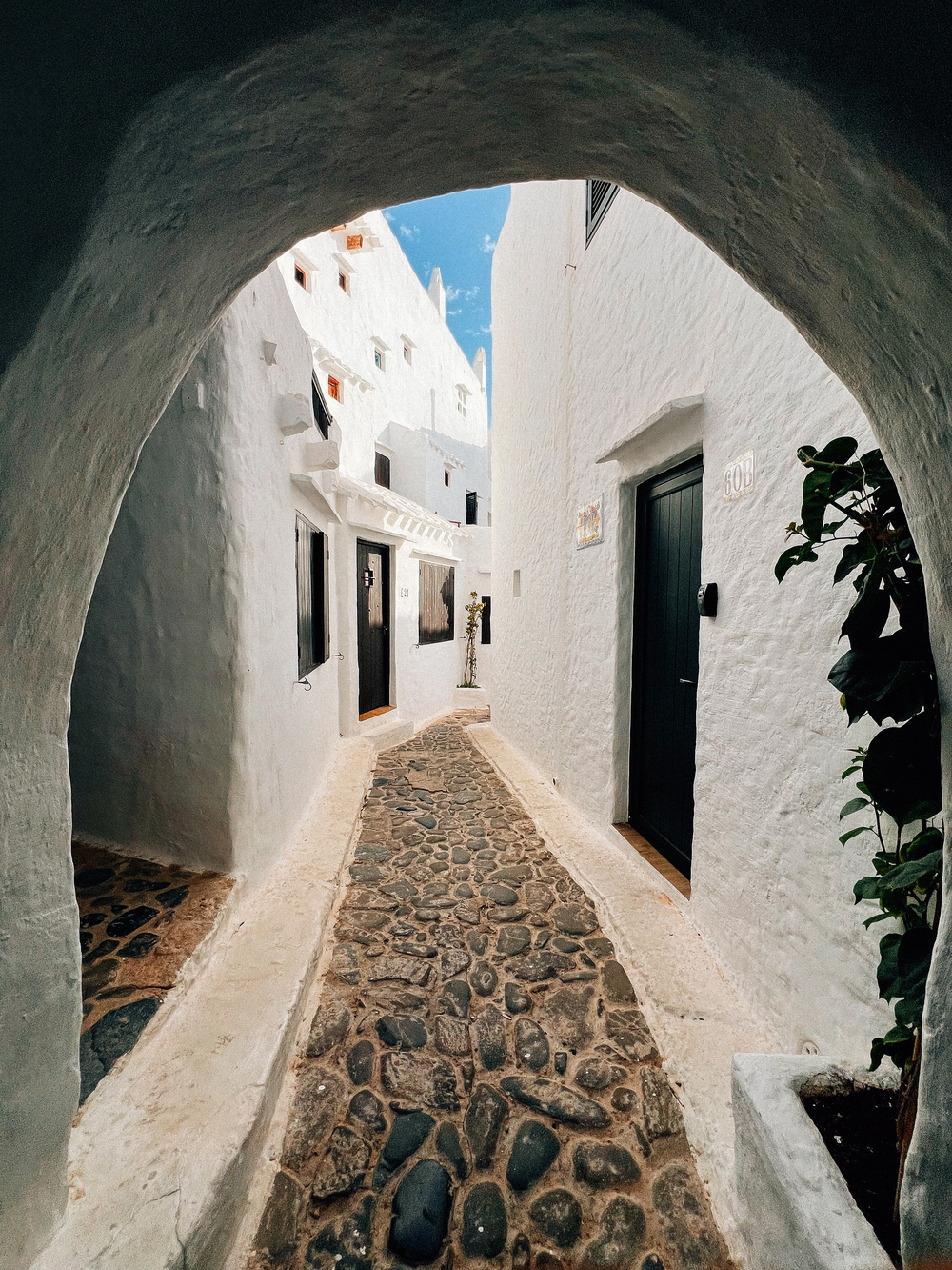 A narrow cobblestone alleyway flanked by whitewashed buildings with dark doors, under an archway, leading to a bright blue sky. A plant is visible on the right side of the arch.