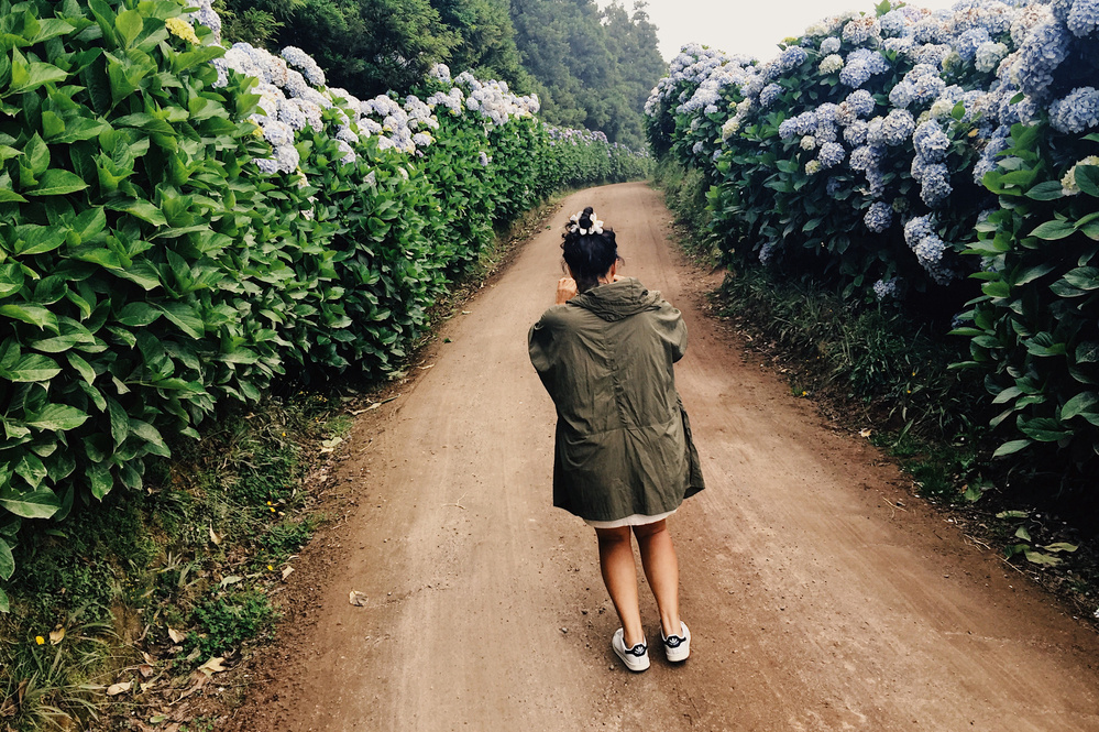 A person wearing a green jacket and white shoes is standing on a dirt path lined with tall bushes of blooming blue hydrangeas. The individual appears to be taking a photo, and the path stretches ahead surrounded by lush greenery.