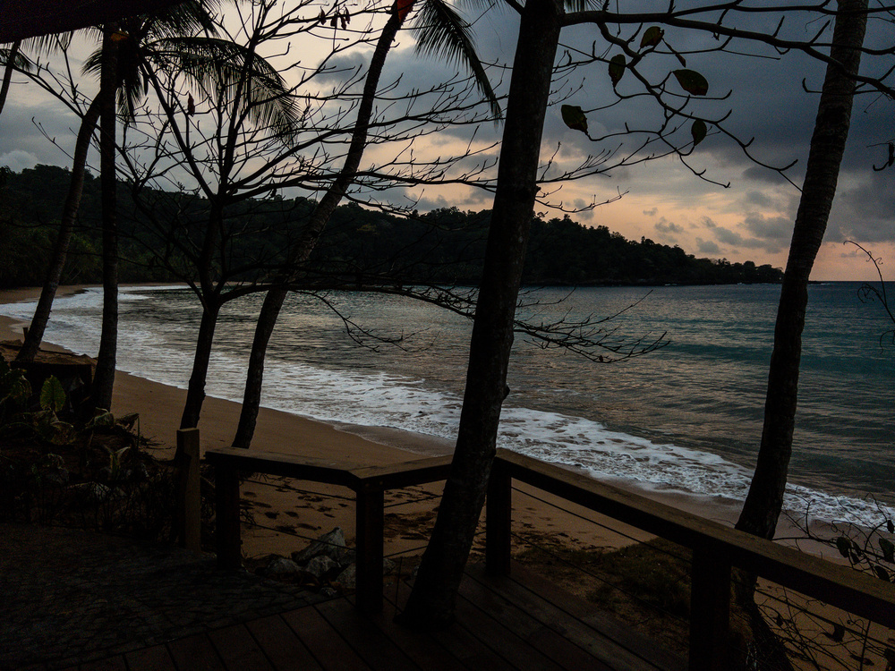 A serene beach scene at sunset, framed by silhouetted trees. The sky has a mix of soft, pastel colors, and the calm waves gently reach the shore. A wooden railing in the foreground adds depth to the landscape.