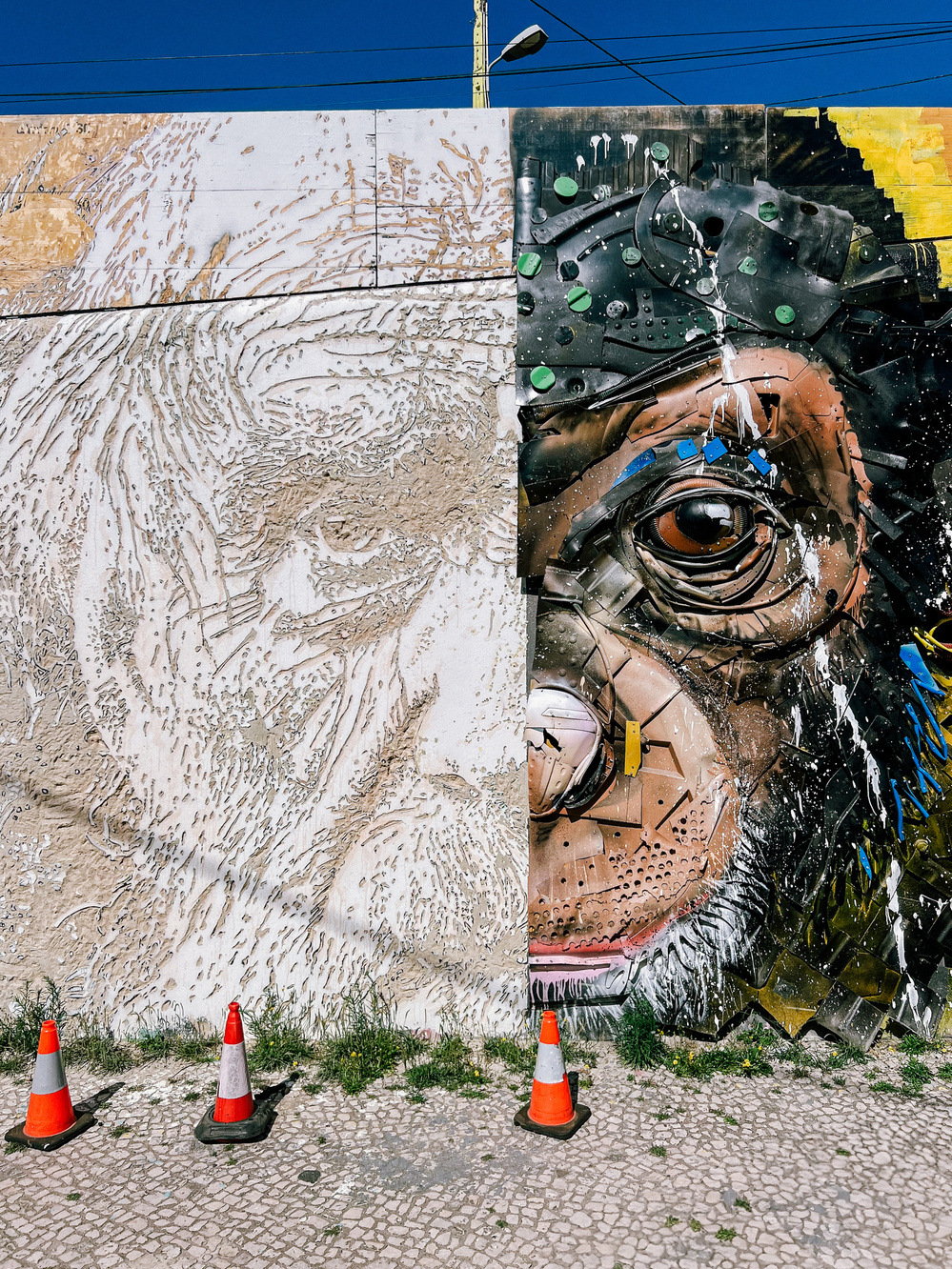 Street art mural featuring a highly detailed human-like face on the left side and a vibrant, textured depiction of a chimp on the right side. Three orange traffic cones are positioned in front of the mural on a cobblestone ground.